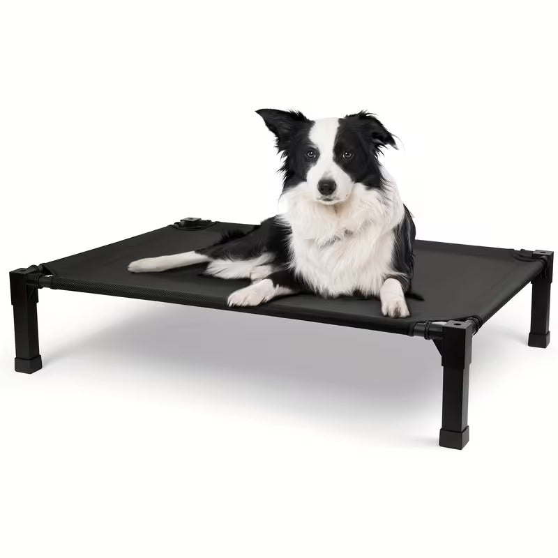 Elevated Mesh Dog Bed