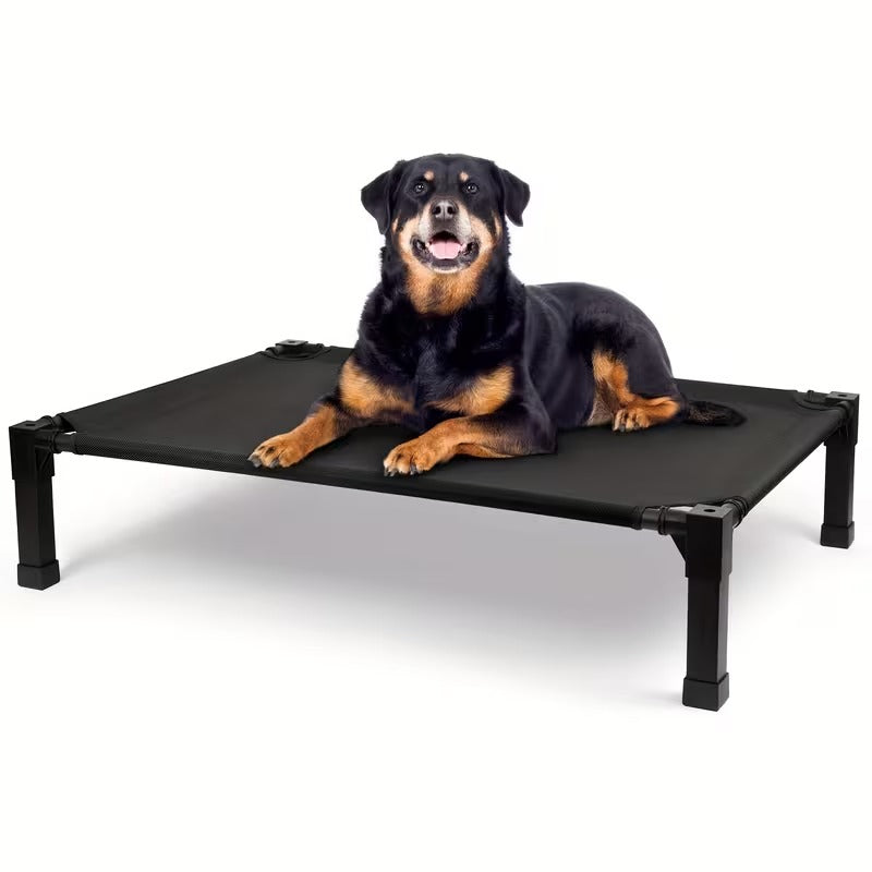 Elevated Mesh Dog Bed