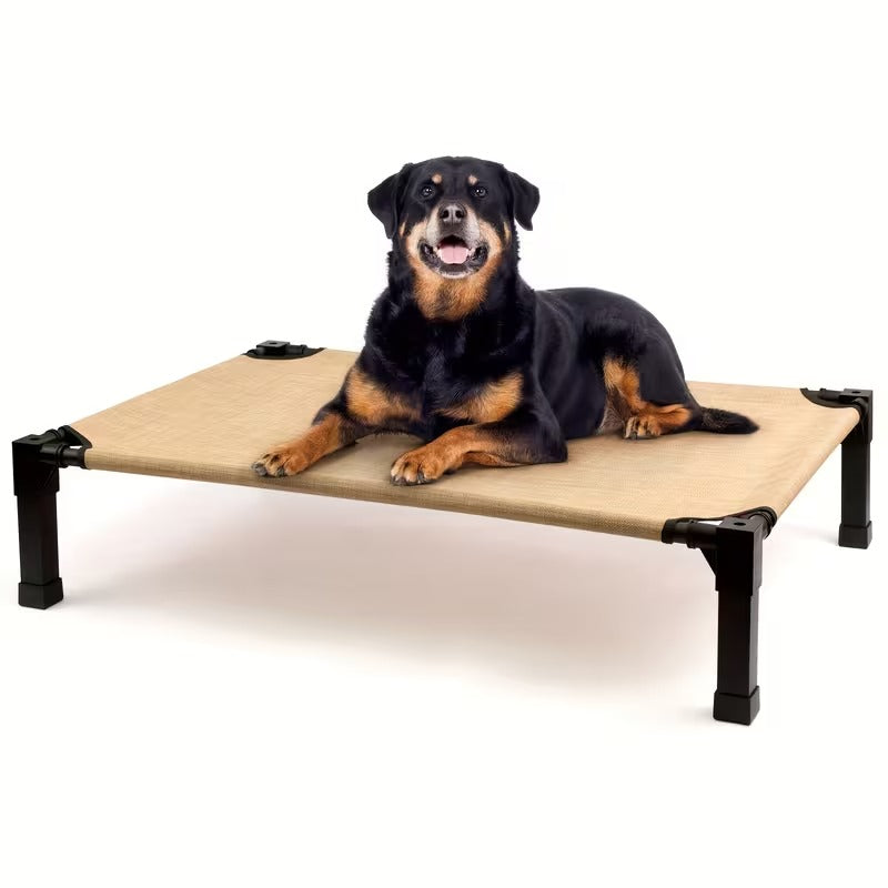 Elevated Mesh Dog Bed