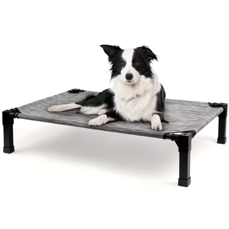 Elevated Mesh Dog Bed