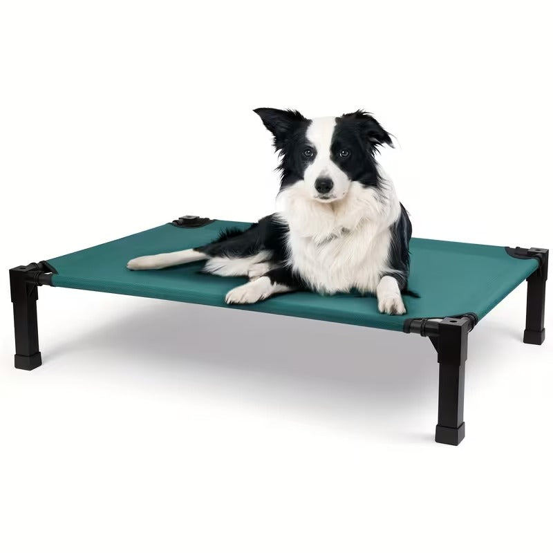 Elevated Mesh Dog Bed