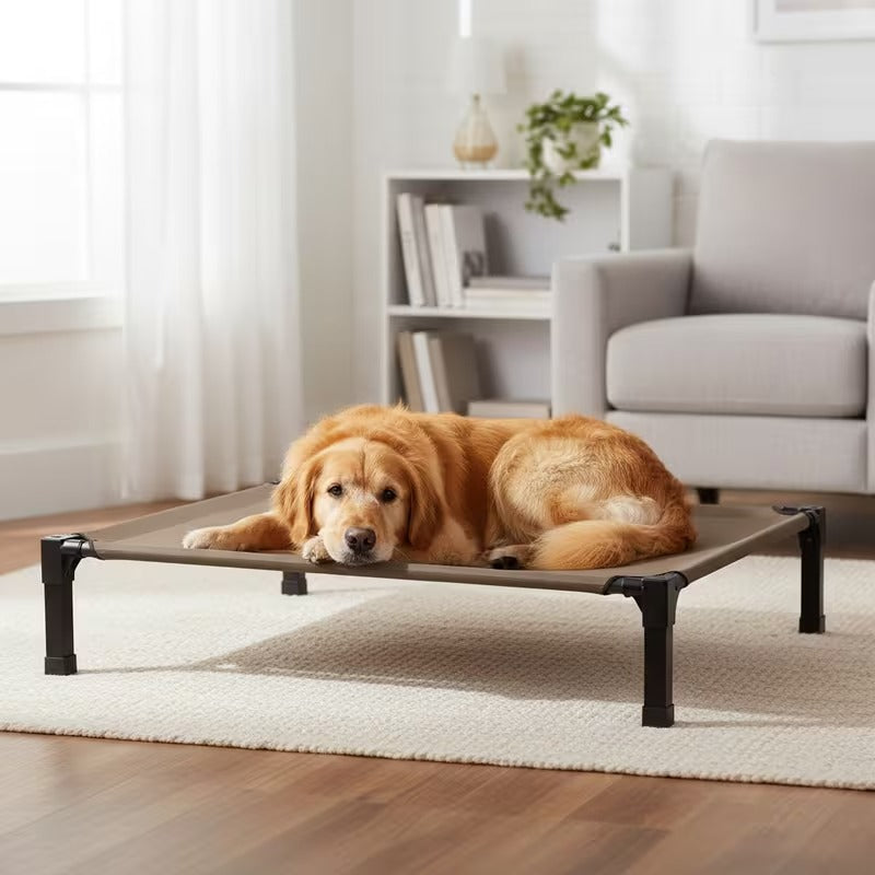 Elevated Mesh Dog Bed