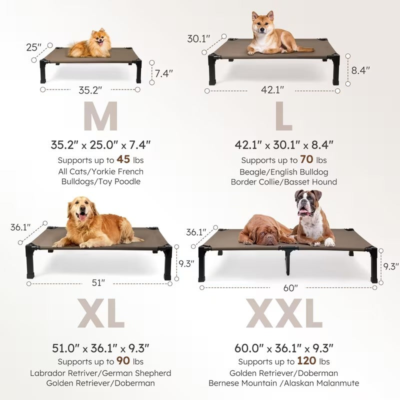 Elevated Mesh Dog Bed