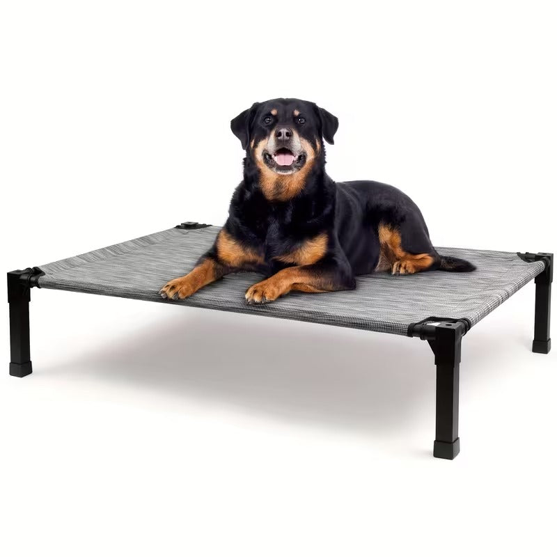 Elevated Mesh Dog Bed