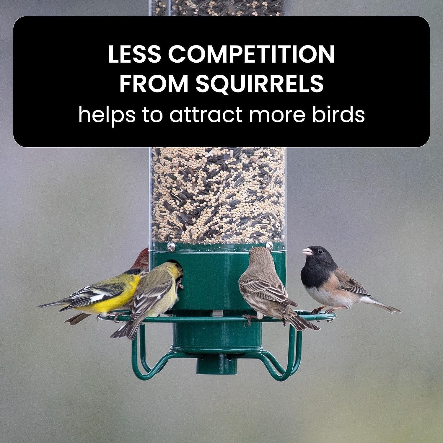 Squirrel-Proof Weight-Activated Bird Feeder