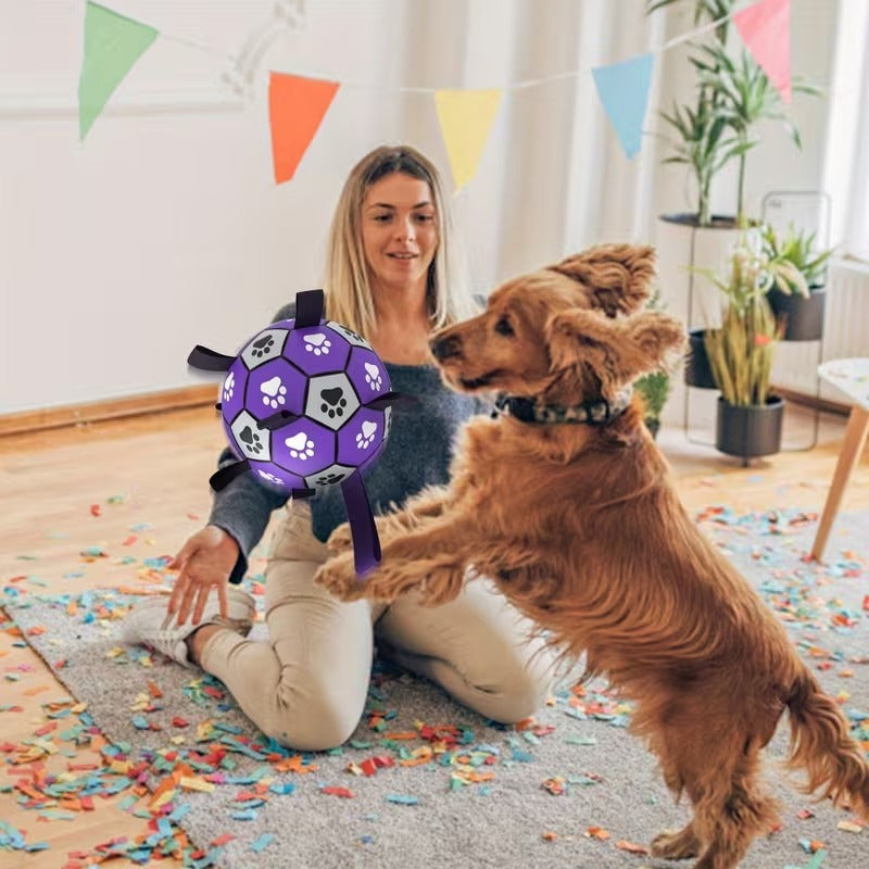 Interactive Dog Soccer Ball