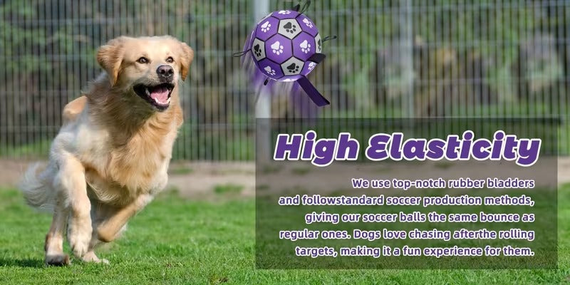 Interactive Dog Soccer Ball