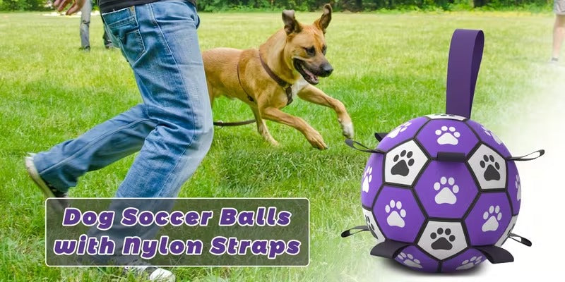 Interactive Dog Soccer Ball