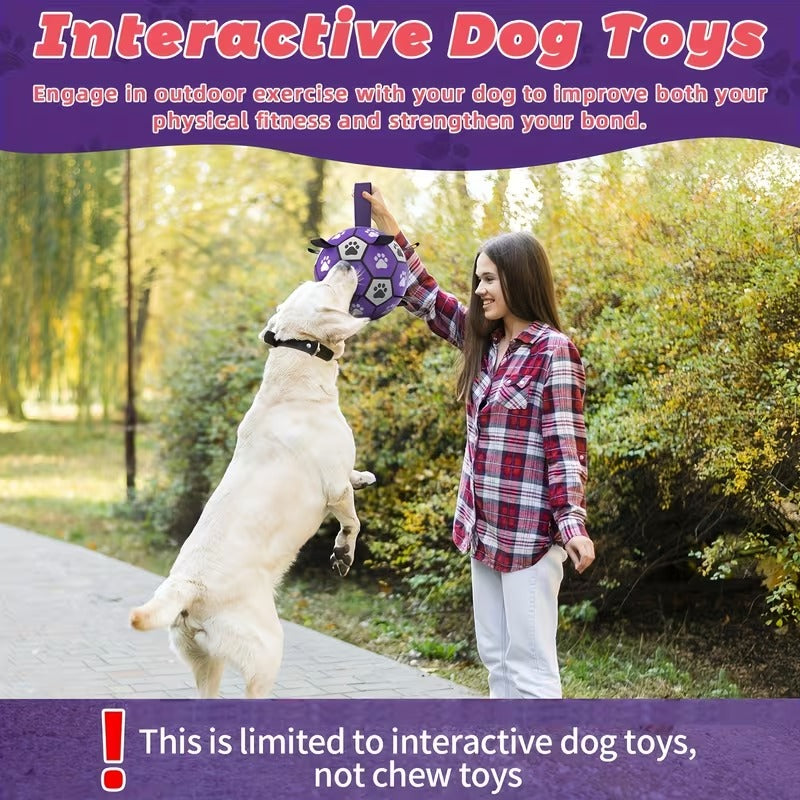 Interactive Dog Soccer Ball