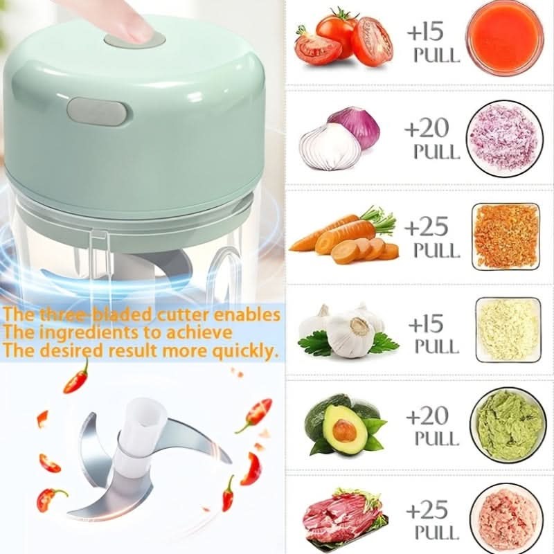 Mini Food Chopper