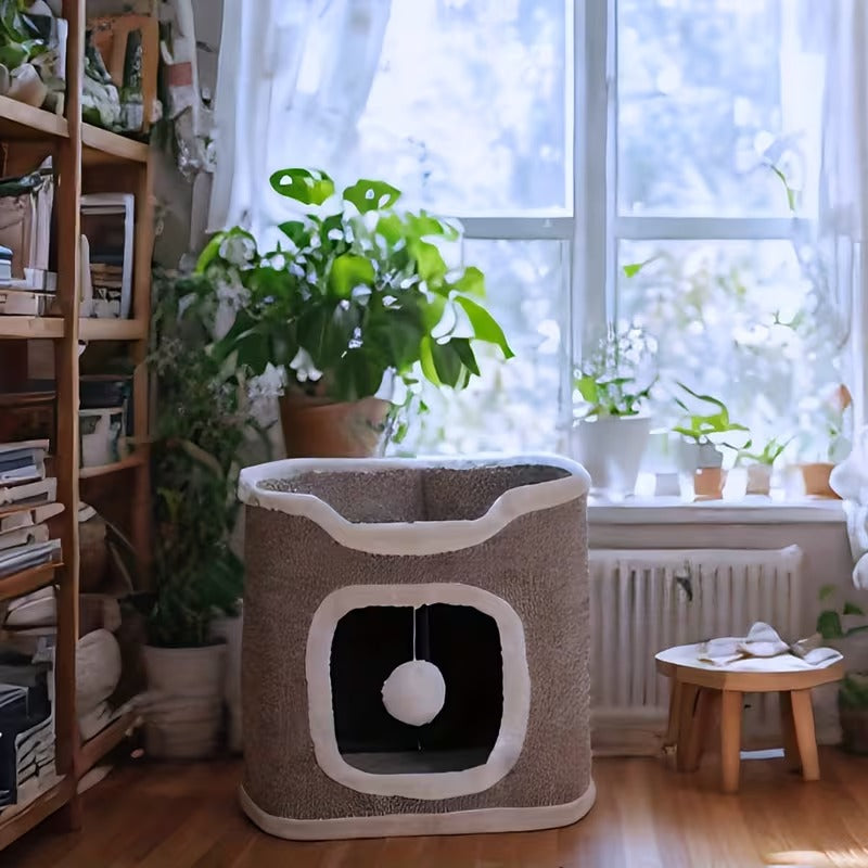 Multi-Level Cat Activity Tower
