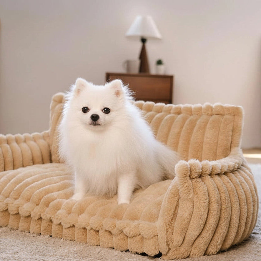 Orthopedic Dog Sofa Bed
