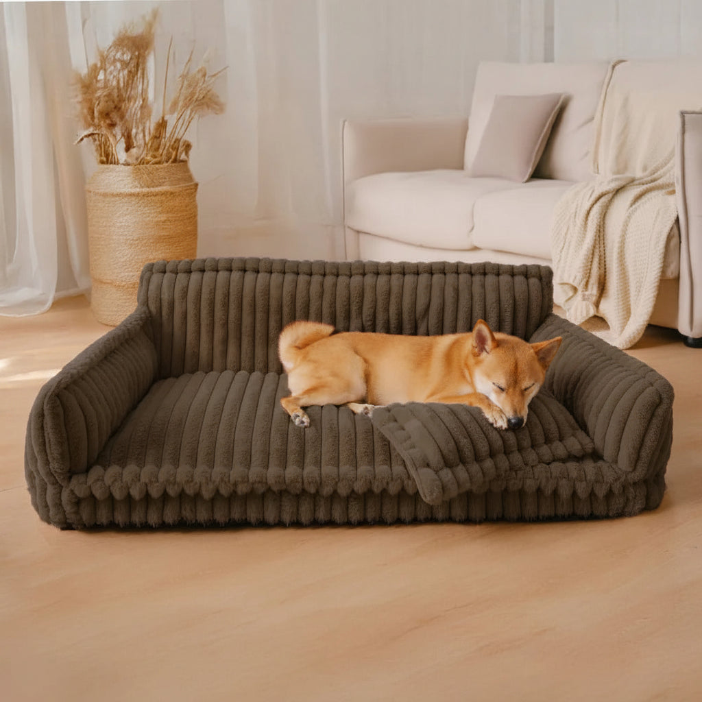 Orthopedic Dog Sofa Bed