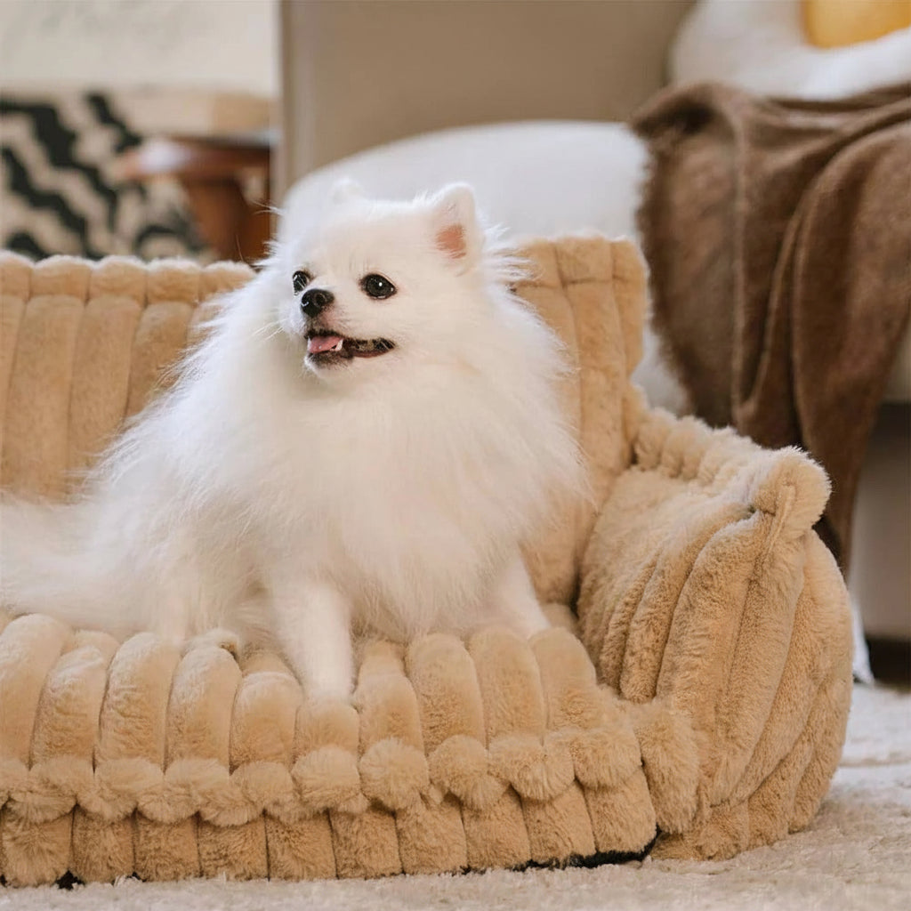 Orthopedic Dog Sofa Bed