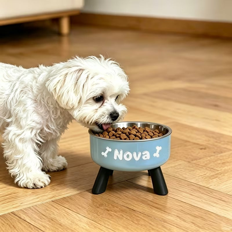 Personalized Elevated Pet Bowl