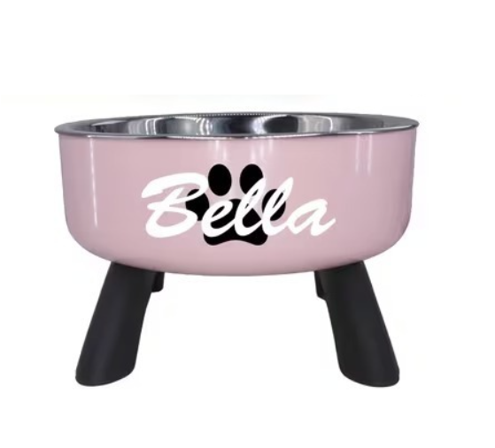 Personalized Elevated Pet Bowl