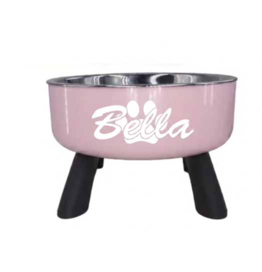 Personalized Elevated Pet Bowl