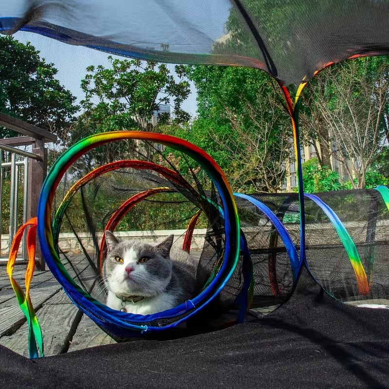 Portable Cat Catio
