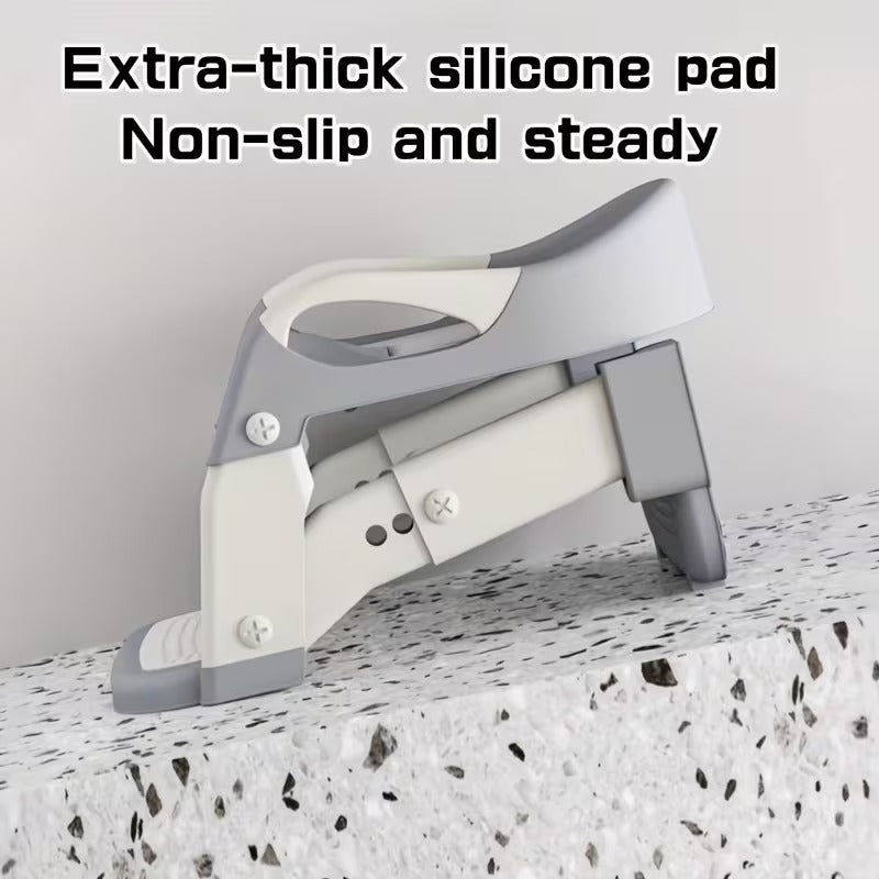 Potty Training Ladder Seat