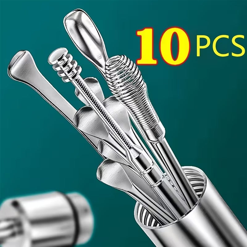 Precision Stainless Steel Ear Pick Set