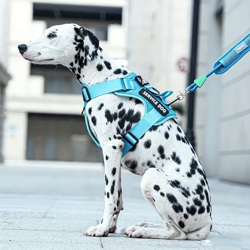 Reflective Control Dog Harness