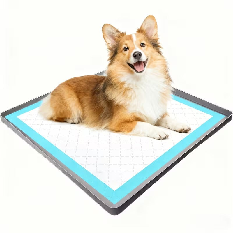Silicone Puppy Pad Tray