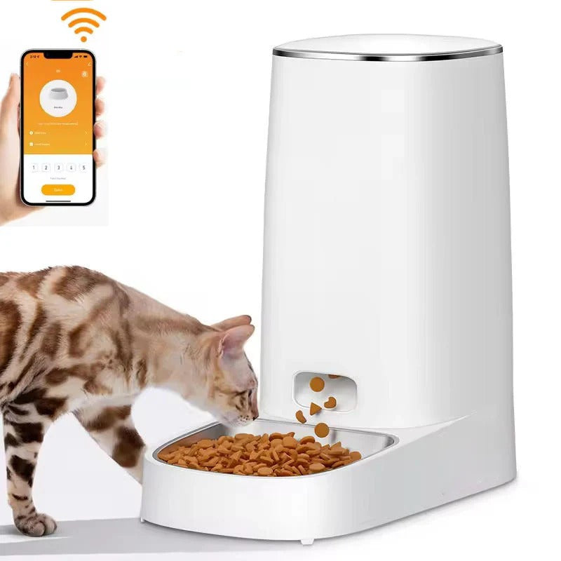 Smart Automatic Cat Feeder