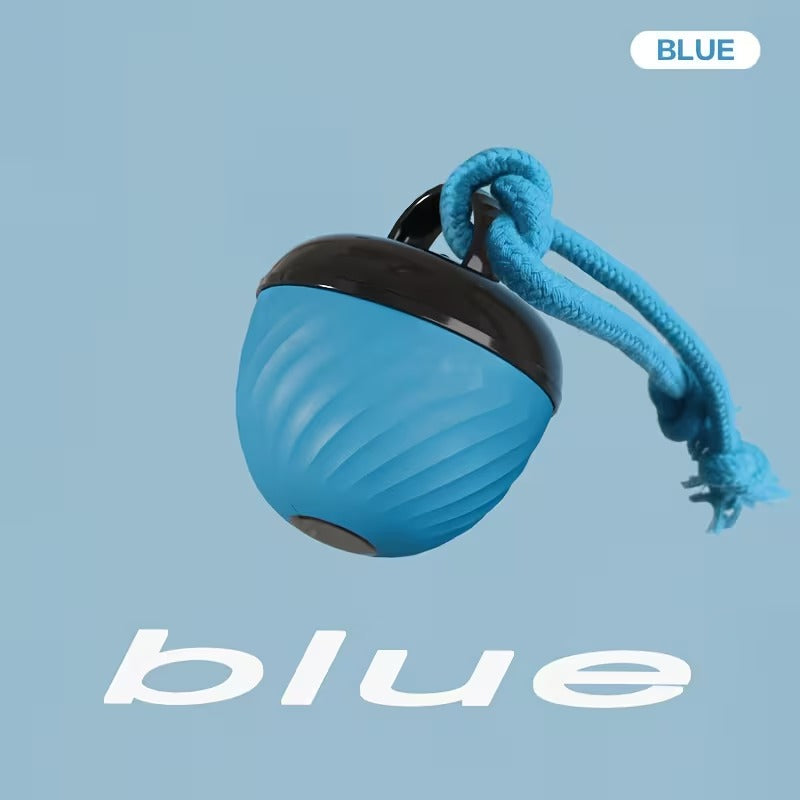 Smart Motion Dog Ball