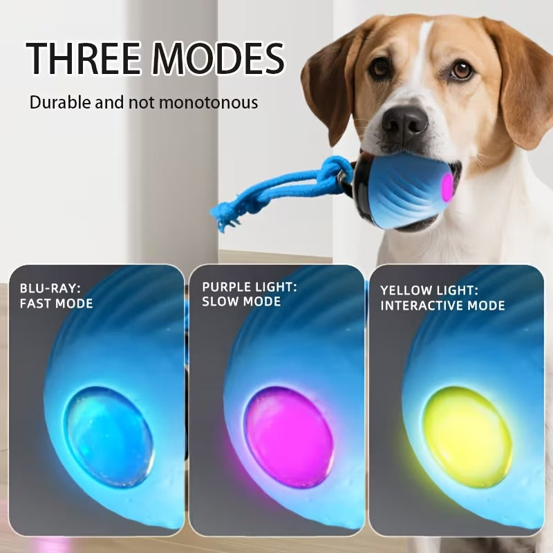 Smart Motion Dog Ball