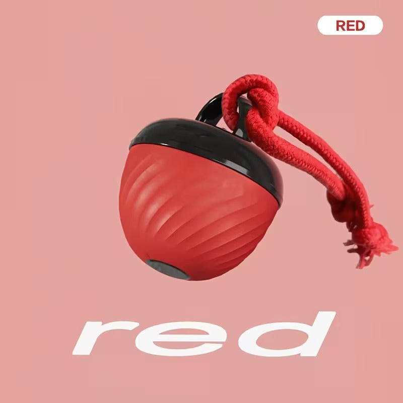 Smart Motion Dog Ball