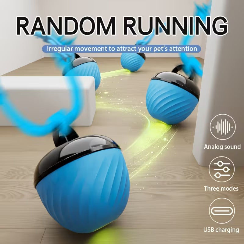 Smart Motion Dog Ball
