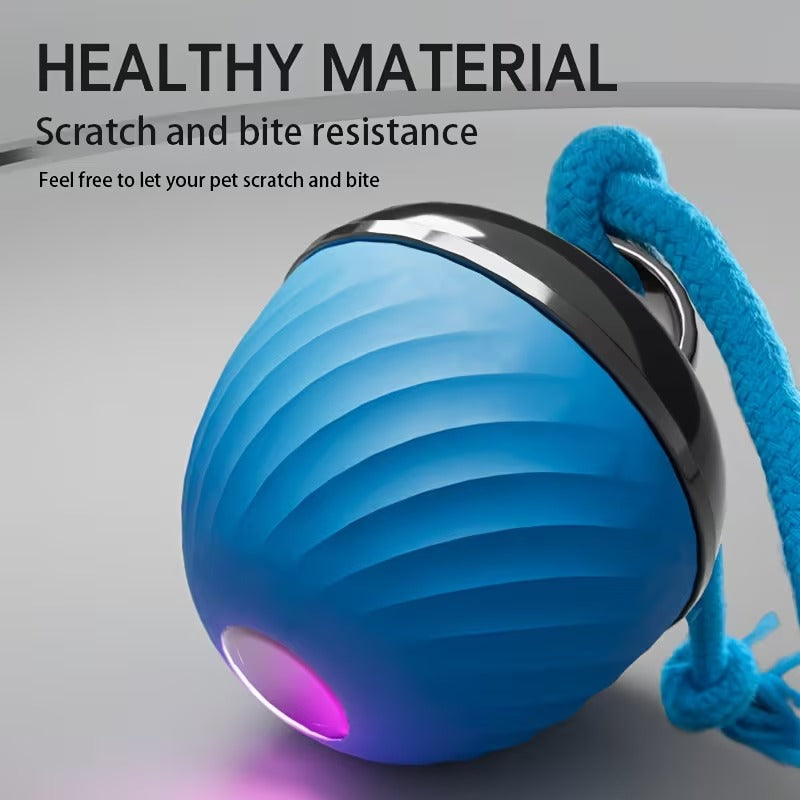 Smart Motion Dog Ball