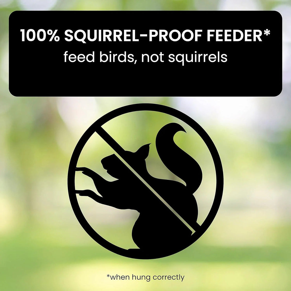 Squirrel-Proof Weight-Activated Bird Feeder