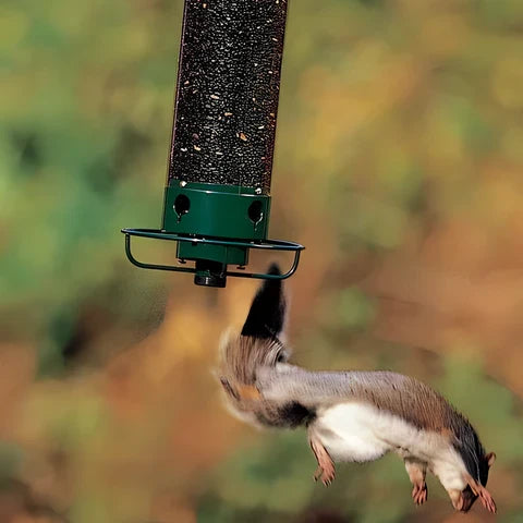 Squirrel-Proof Weight-Activated Bird Feeder
