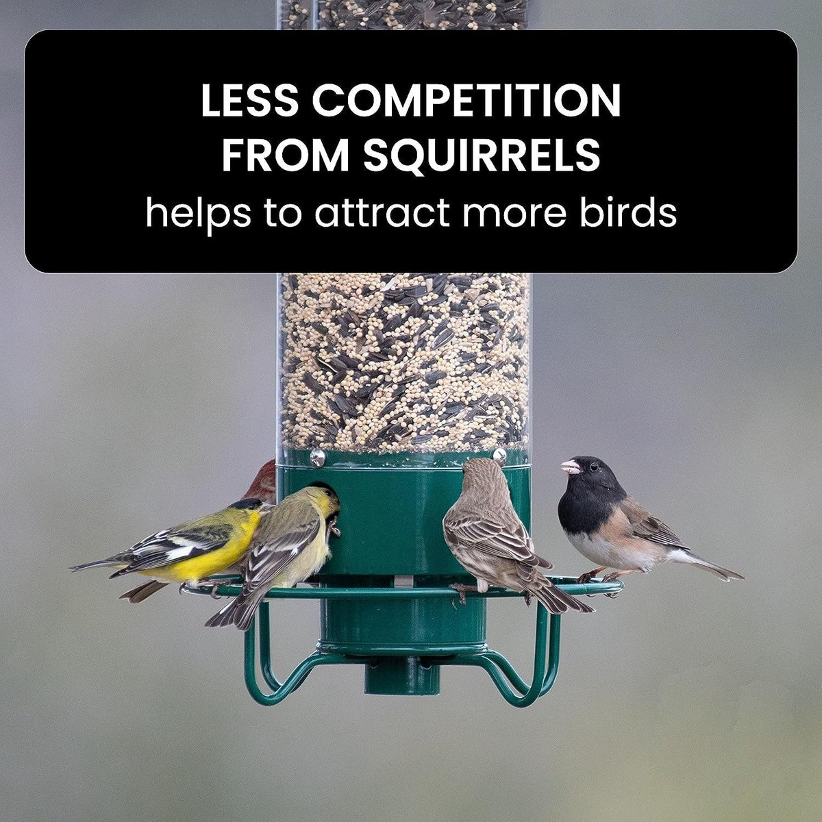 Squirrel-Proof Weight-Activated Bird Feeder