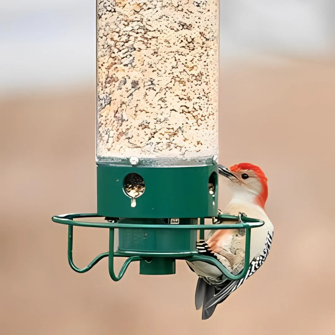 Squirrel-Proof Weight-Activated Bird Feeder