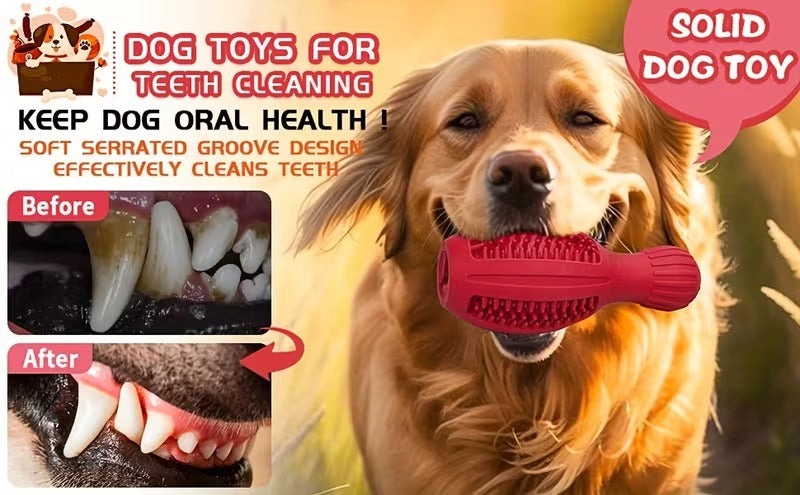 Treat-Dispensing Chew Toy