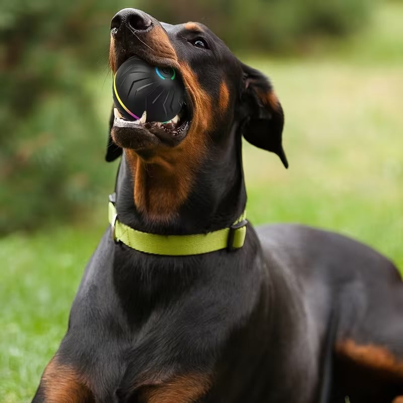 Ultimate Self-Moving Dog Ball