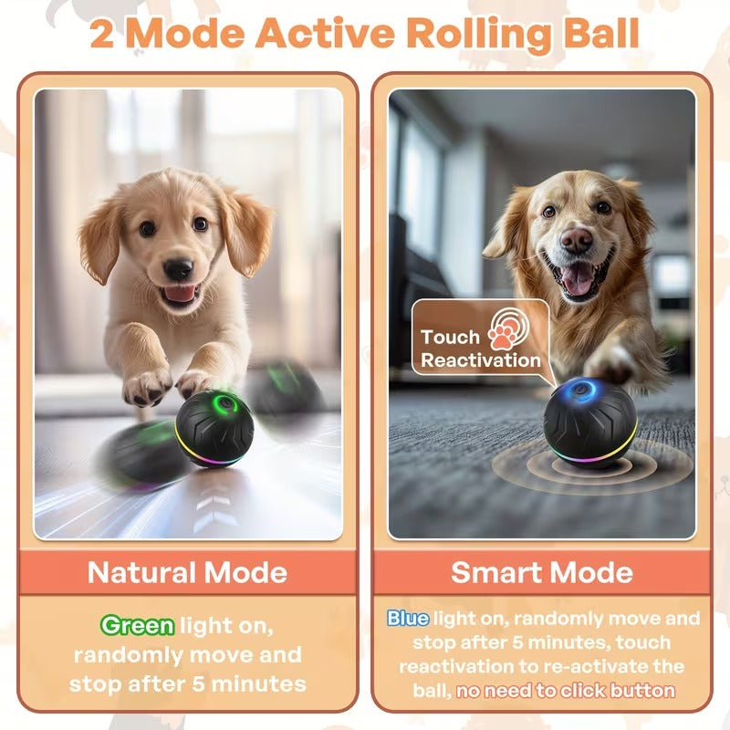 Ultimate Self-Moving Dog Ball