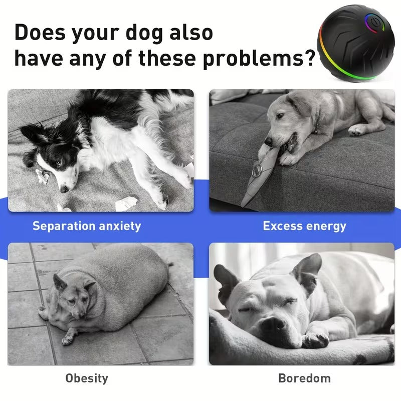 Ultimate Self-Moving Dog Ball